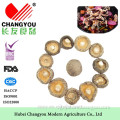 Market Prices For Wholesale Dried Shiitake Mushroom Health Food